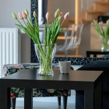 6 Os, Dwupoziomowy 56m2 Z 2 Balkonami 公寓 *